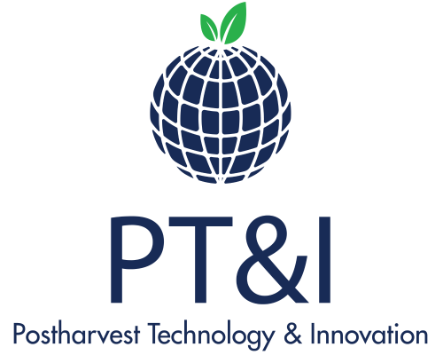 Logo corporativo PT&I Chile